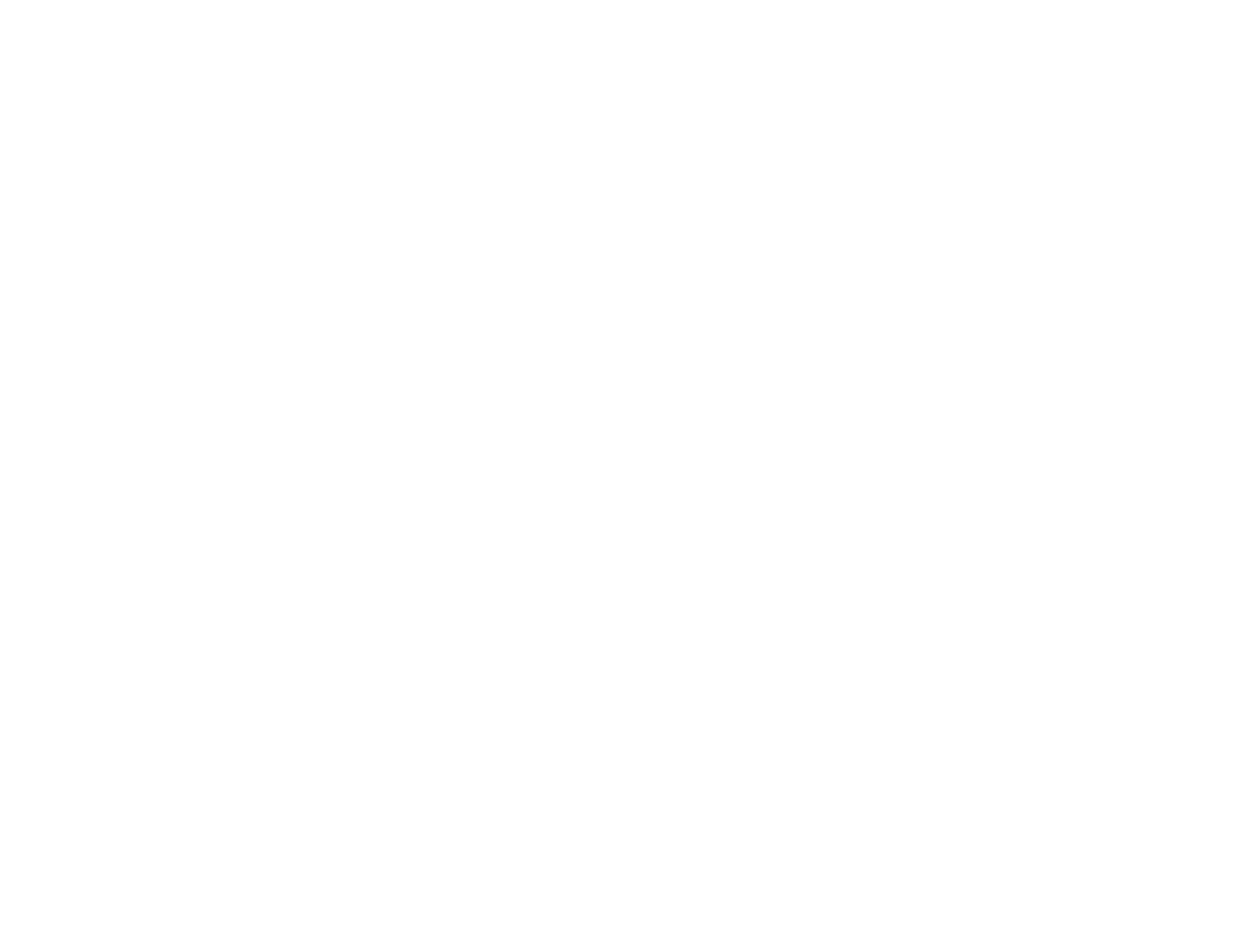 logo noir